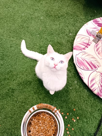 kullanıcı tarafından yüklenmiş görsel