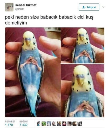 kullanıcı tarafından yüklenmiş görsel