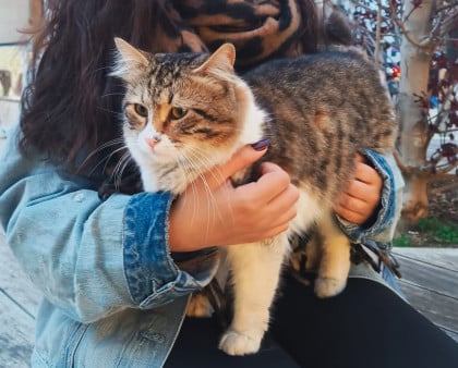 kullanıcı tarafından yüklenmiş görsel