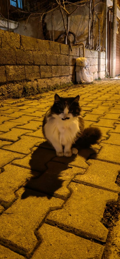 kullanıcı tarafından yüklenmiş görsel