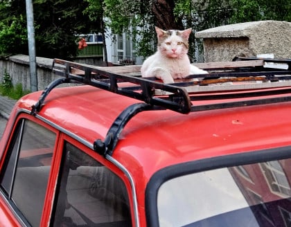 kullanıcı tarafından yüklenmiş görsel