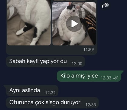 kullanıcı tarafından yüklenmiş görsel