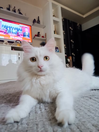 kullanıcı tarafından yüklenmiş görsel