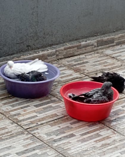 kullanıcı tarafından yüklenmiş görsel