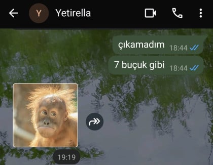 kullanıcı tarafından yüklenmiş görsel