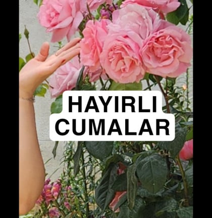 kullanıcı tarafından yüklenmiş görsel