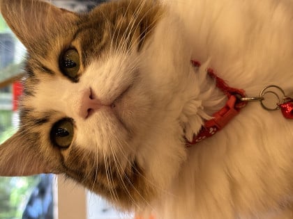 kullanıcı tarafından yüklenmiş görsel
