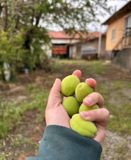 kullanıcı tarafından yüklenmiş görsel