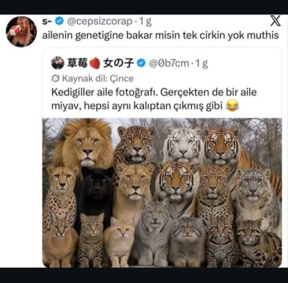 kullanıcı tarafından yüklenmiş görsel