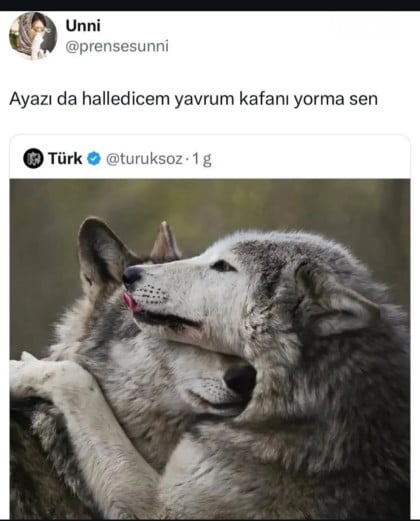 kullanıcı tarafından yüklenmiş görsel