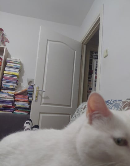 kullanıcı tarafından yüklenmiş görsel