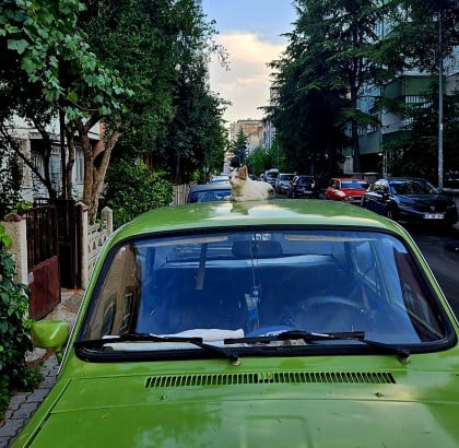 kullanıcı tarafından yüklenmiş görsel