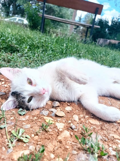 kullanıcı tarafından yüklenmiş görsel