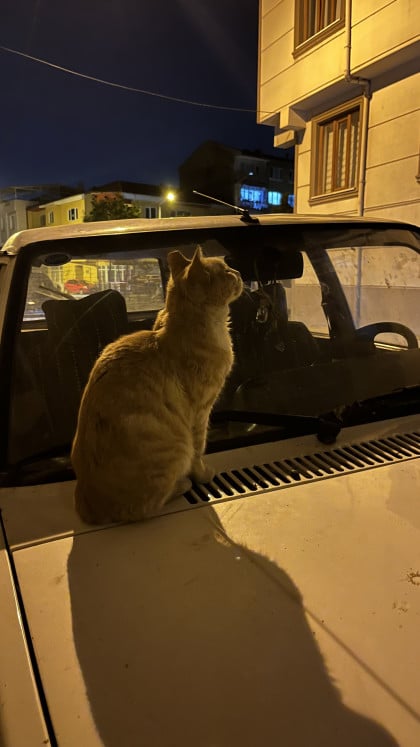 kullanıcı tarafından yüklenmiş görsel