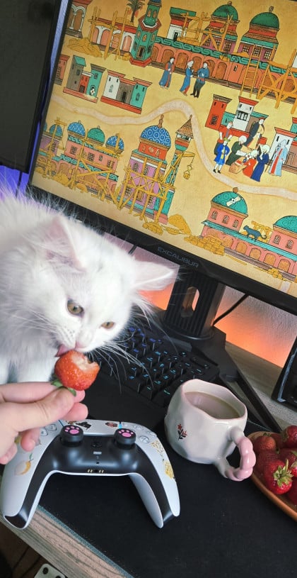kullanıcı tarafından yüklenmiş görsel