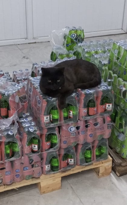 kullanıcı tarafından yüklenmiş görsel
