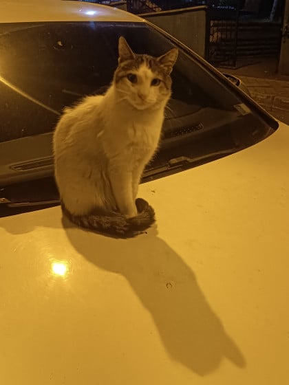kullanıcı tarafından yüklenmiş görsel