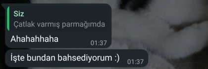 kullanıcı tarafından yüklenmiş görsel