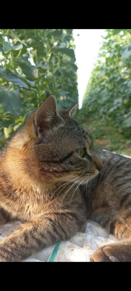 kullanıcı tarafından yüklenmiş görsel