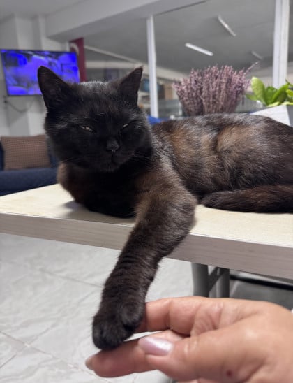kullanıcı tarafından yüklenmiş görsel