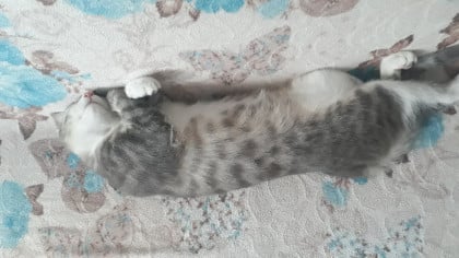 kullanıcı tarafından yüklenmiş görsel