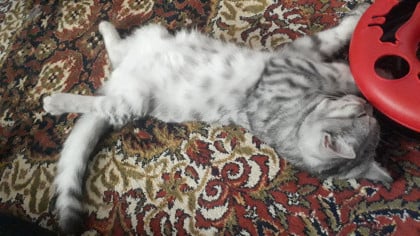 kullanıcı tarafından yüklenmiş görsel