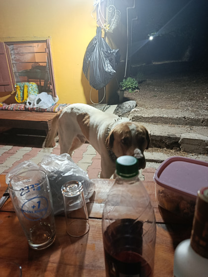kullanıcı tarafından yüklenmiş görsel