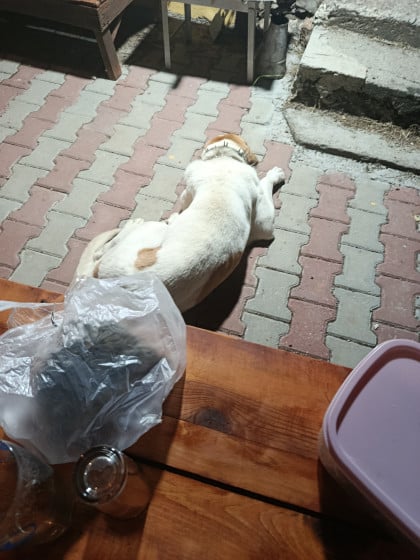 kullanıcı tarafından yüklenmiş görsel
