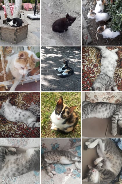 kullanıcı tarafından yüklenmiş görsel