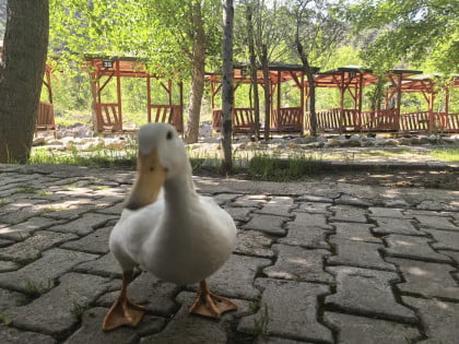 kullanıcı tarafından yüklenmiş görsel