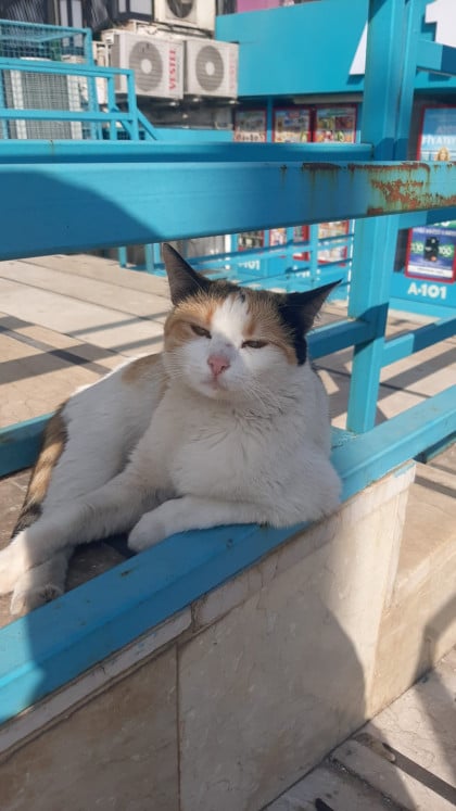 kullanıcı tarafından yüklenmiş görsel