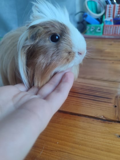 kullanıcı tarafından yüklenmiş görsel