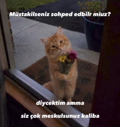 kullanıcı tarafından yüklenmiş görsel