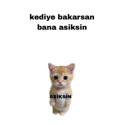 kullanıcı tarafından yüklenmiş görsel