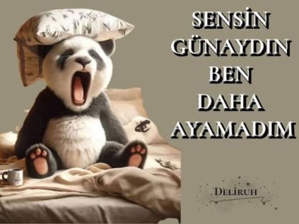 kullanıcı tarafından yüklenmiş görsel