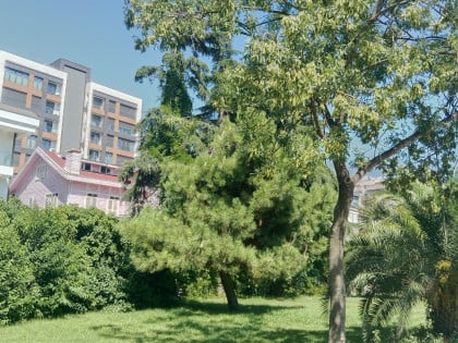 kullanıcı tarafından yüklenmiş görsel