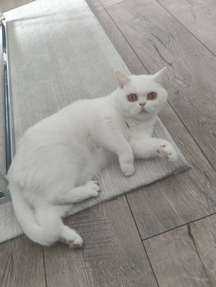 kullanıcı tarafından yüklenmiş görsel