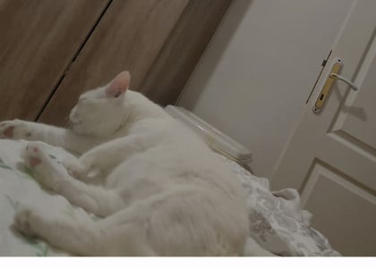 kullanıcı tarafından yüklenmiş görsel