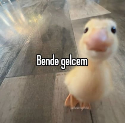 kullanıcı tarafından yüklenmiş görsel