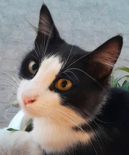 kullanıcı tarafından yüklenmiş görsel