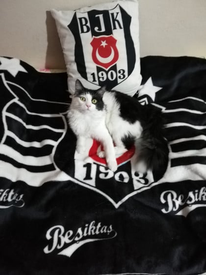 kullanıcı tarafından yüklenmiş görsel
