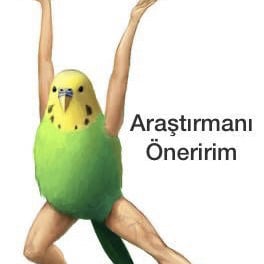 kullanıcı tarafından yüklenmiş görsel