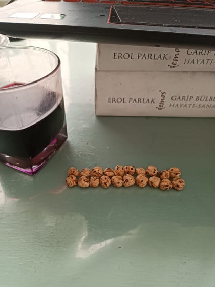 kullanıcı tarafından yüklenmiş görsel