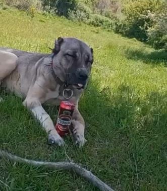 kullanıcı tarafından yüklenmiş görsel