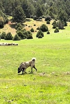 kullanıcı tarafından yüklenmiş görsel