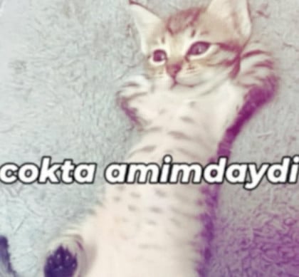 kullanıcı tarafından yüklenmiş görsel