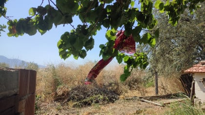 kullanıcı tarafından yüklenmiş görsel