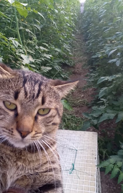 kullanıcı tarafından yüklenmiş görsel