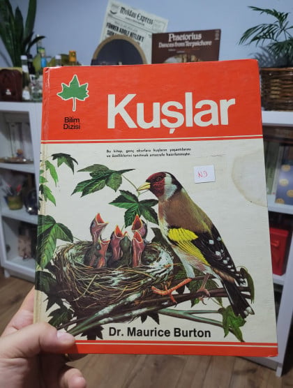 kullanıcı tarafından yüklenmiş görsel