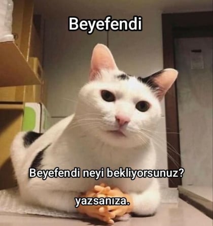 kullanıcı tarafından yüklenmiş görsel